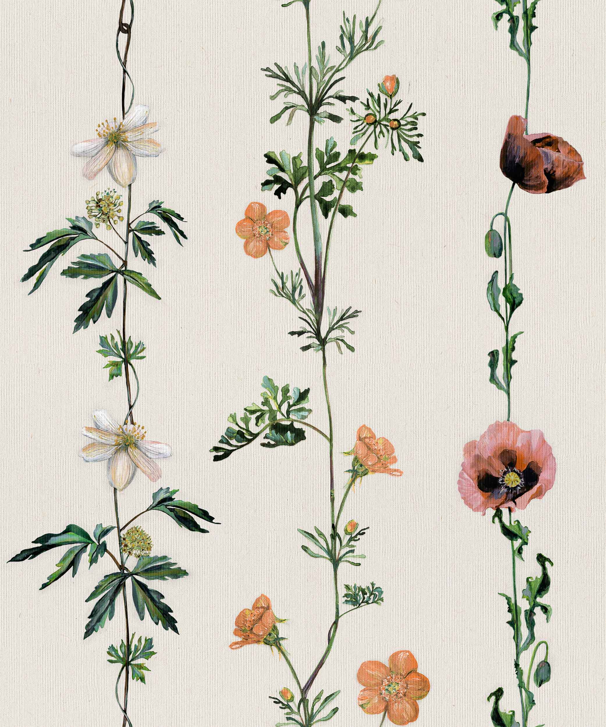 Climbing Flowers, Linen, Coordonne 5mp / rola